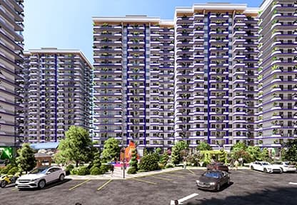 Xon Saroy - Shirin Hayot